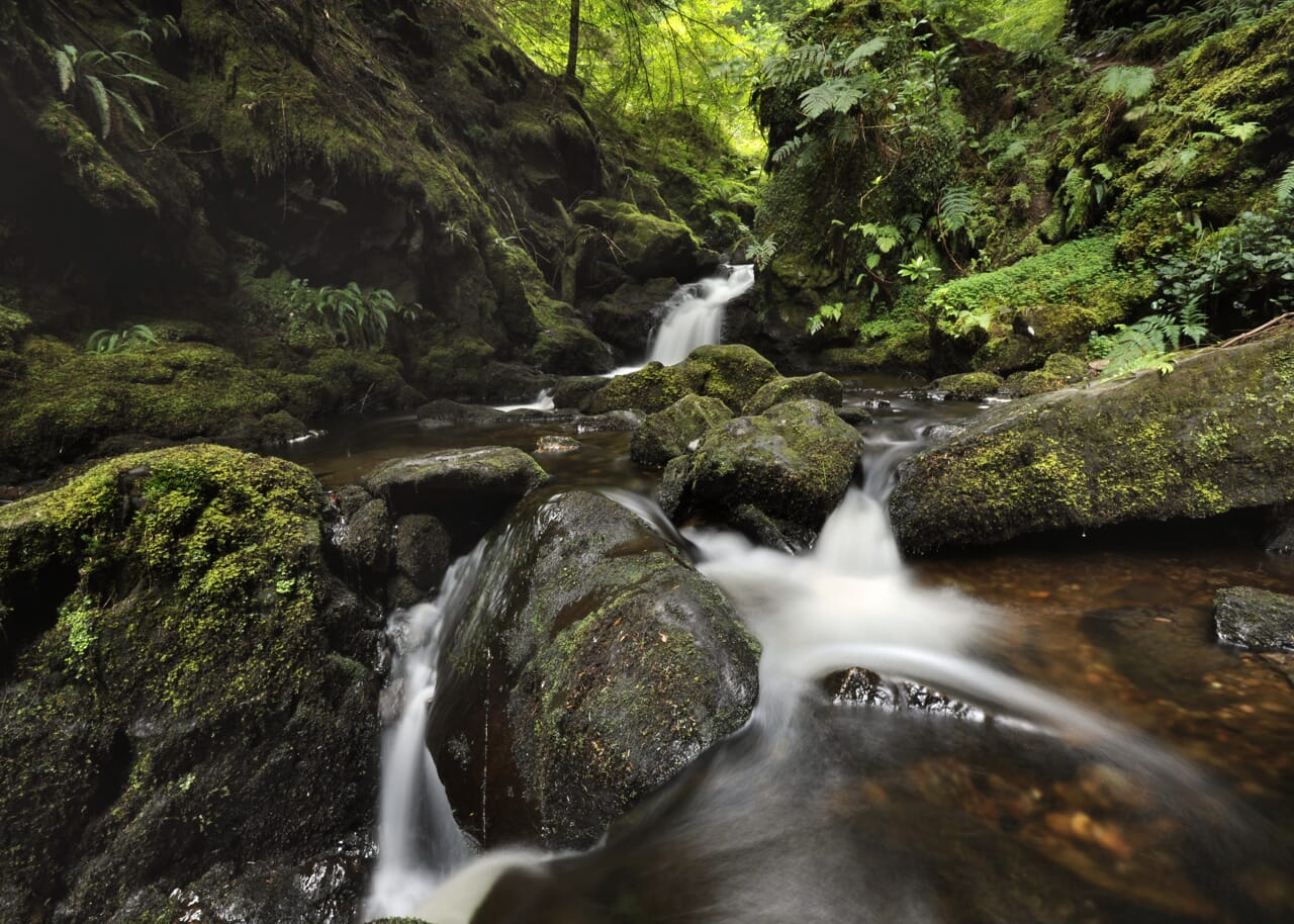 Rocky weir in a river in a lush forest
