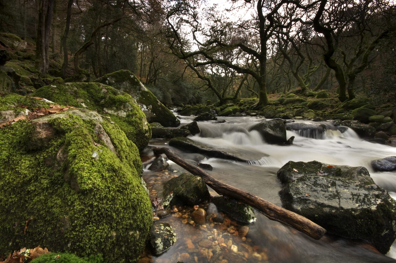 Rocky weir in a river in a forest