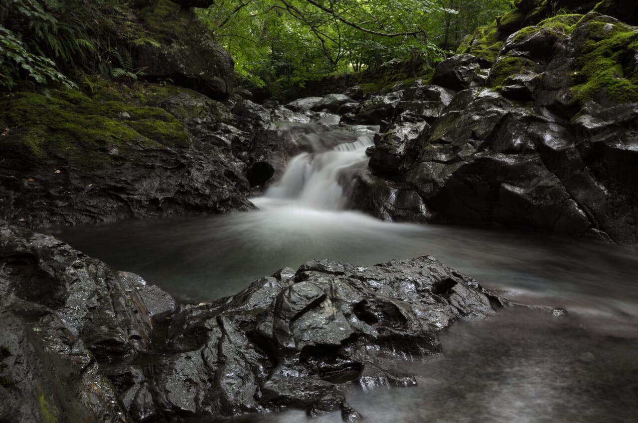 Water cascading into a rocky pool in a lush forest